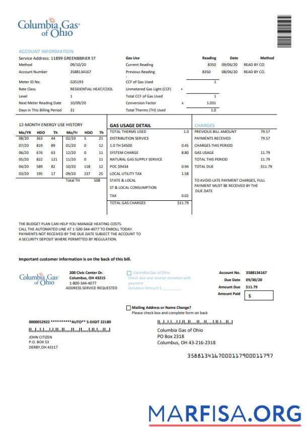 Downloadable USA Columbia Gas of Ohio utility bill template in Word and PDF format